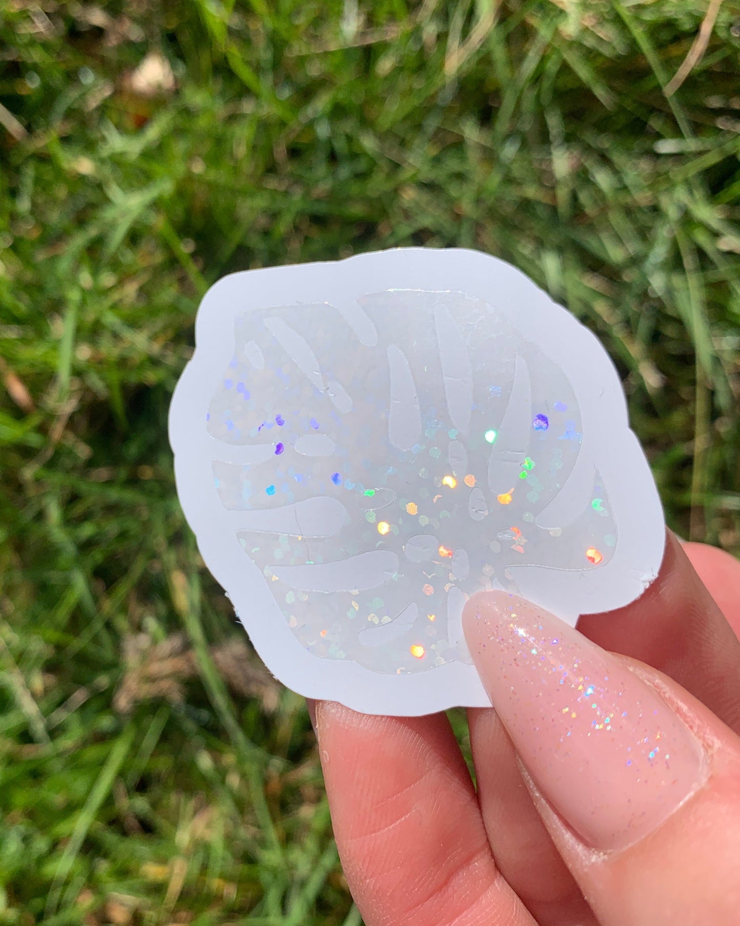 Monstera Holographic Sticker