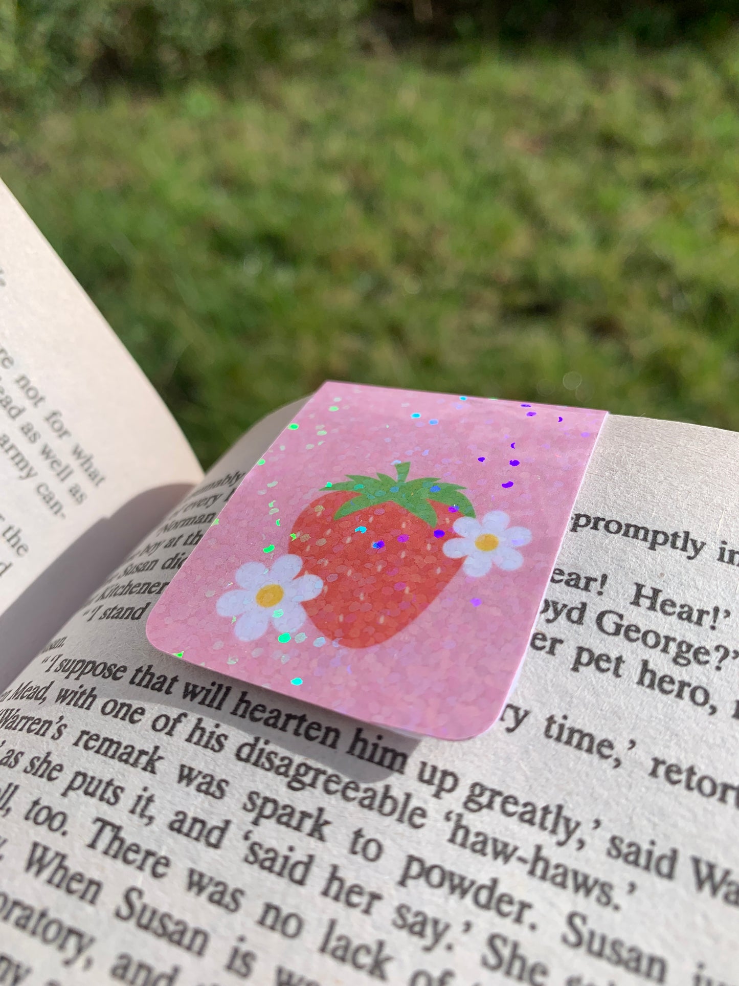 Strawberry Magnetic Bookmark