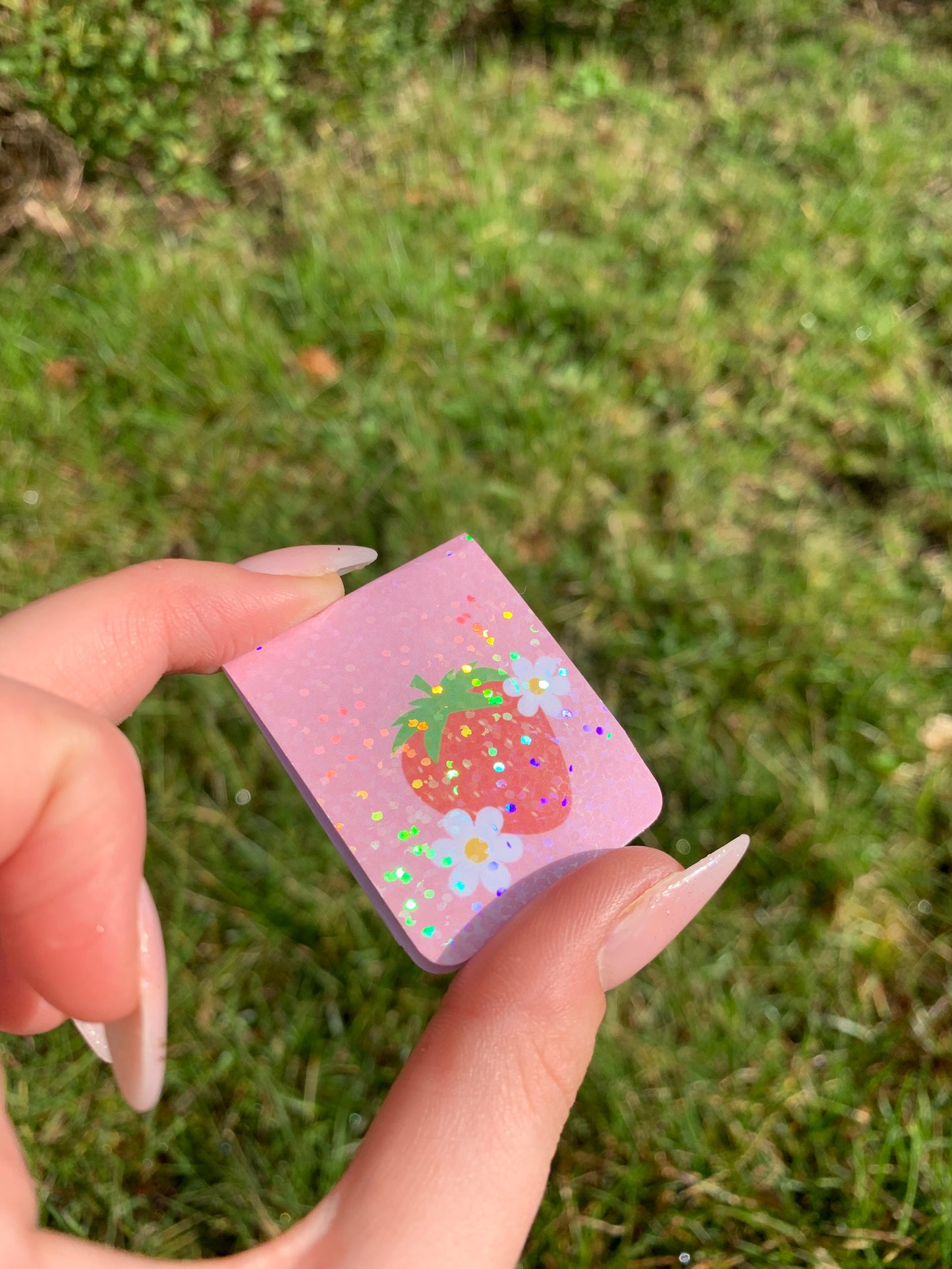 Strawberry Magnetic Bookmark